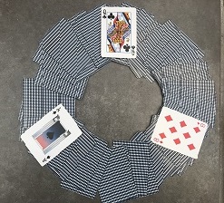 Ring of Learning activity
