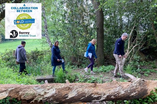 Teachers curriculum courses outdoor learning surrey