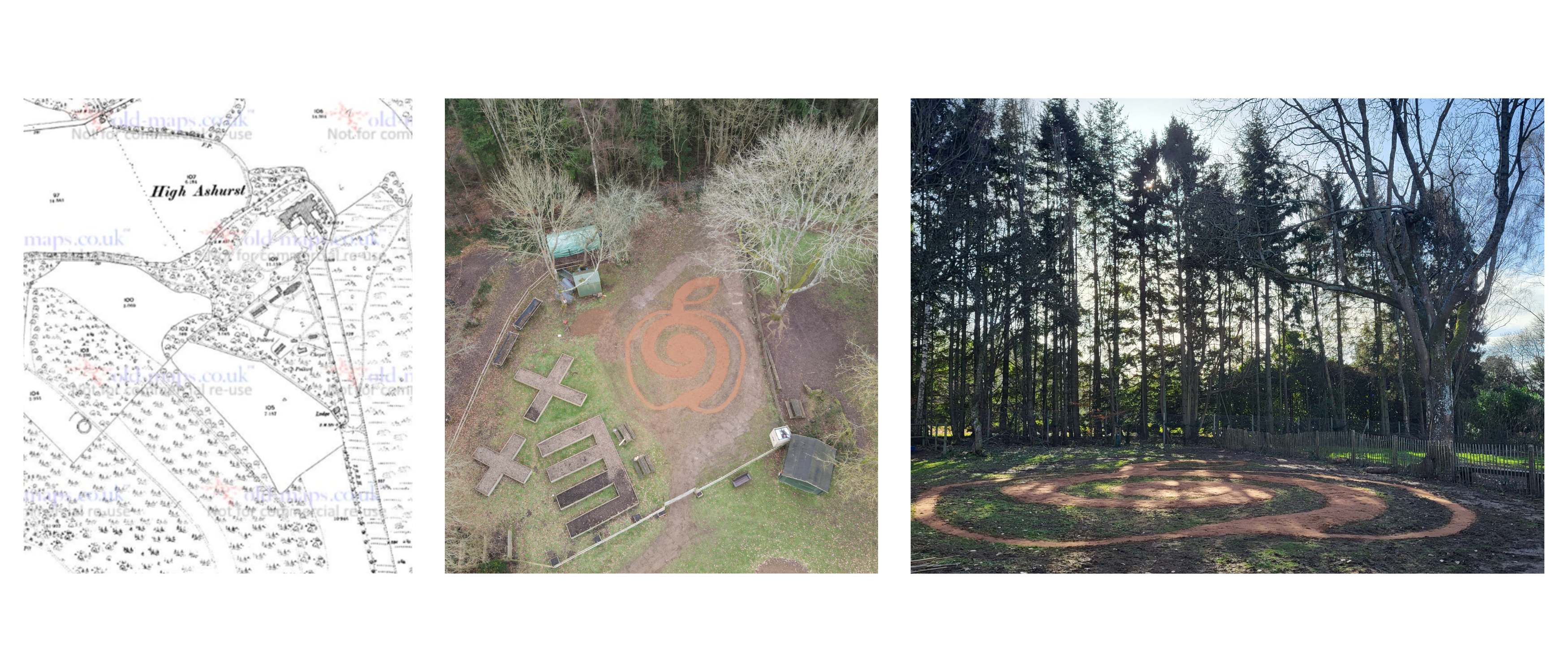 Orchard at High Ashurst surrey outdoor learning and development