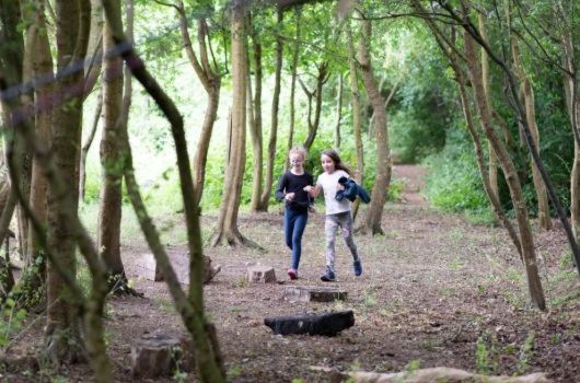 Orienteering at SOLD