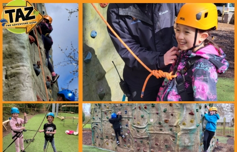 TAZ High Ashurst activities