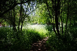  Nature Area Approach