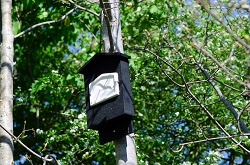Bat Box at TYM